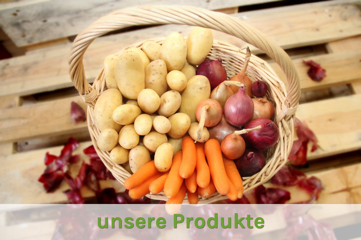 Unsere Produkte